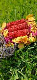 Dragons Blood